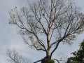 Tn 0213 DSC 5518